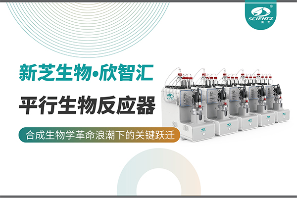 培养菌株和评估工艺参数影响太难太慢？平行生物反应器提供关键解决方案！