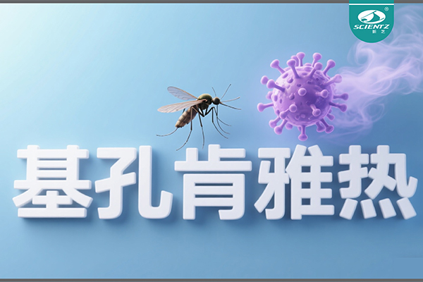 基孔肯雅热疫情升级！HB火博生物硬核技术助力病毒精准诊断