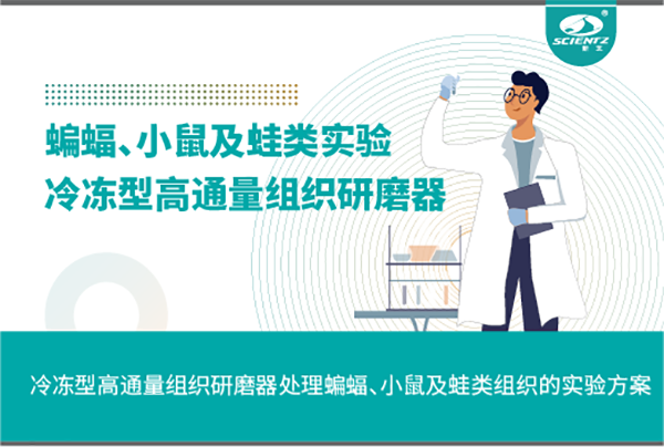 冷冻型高通量组织研磨器处理蝙蝠、小鼠及蛙类组织的实验方案