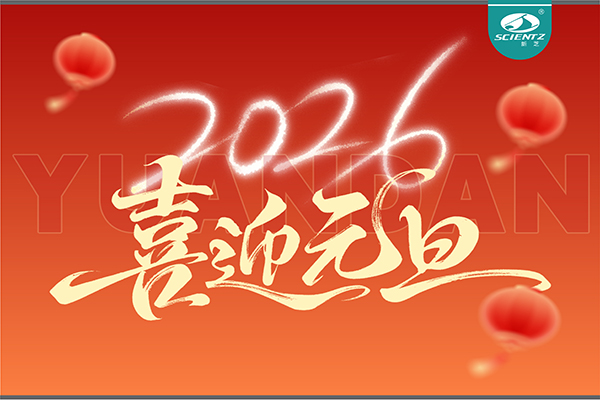 董事长周芳女士新年献词：心有定力，沐光而行