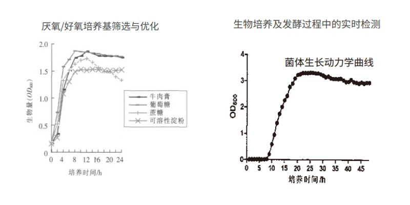 过程安全，结果精准